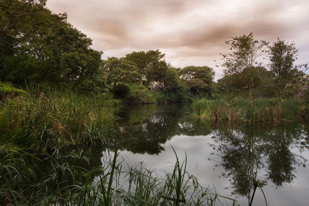 Quarry Lake Inn East London Ngoại thất bức ảnh